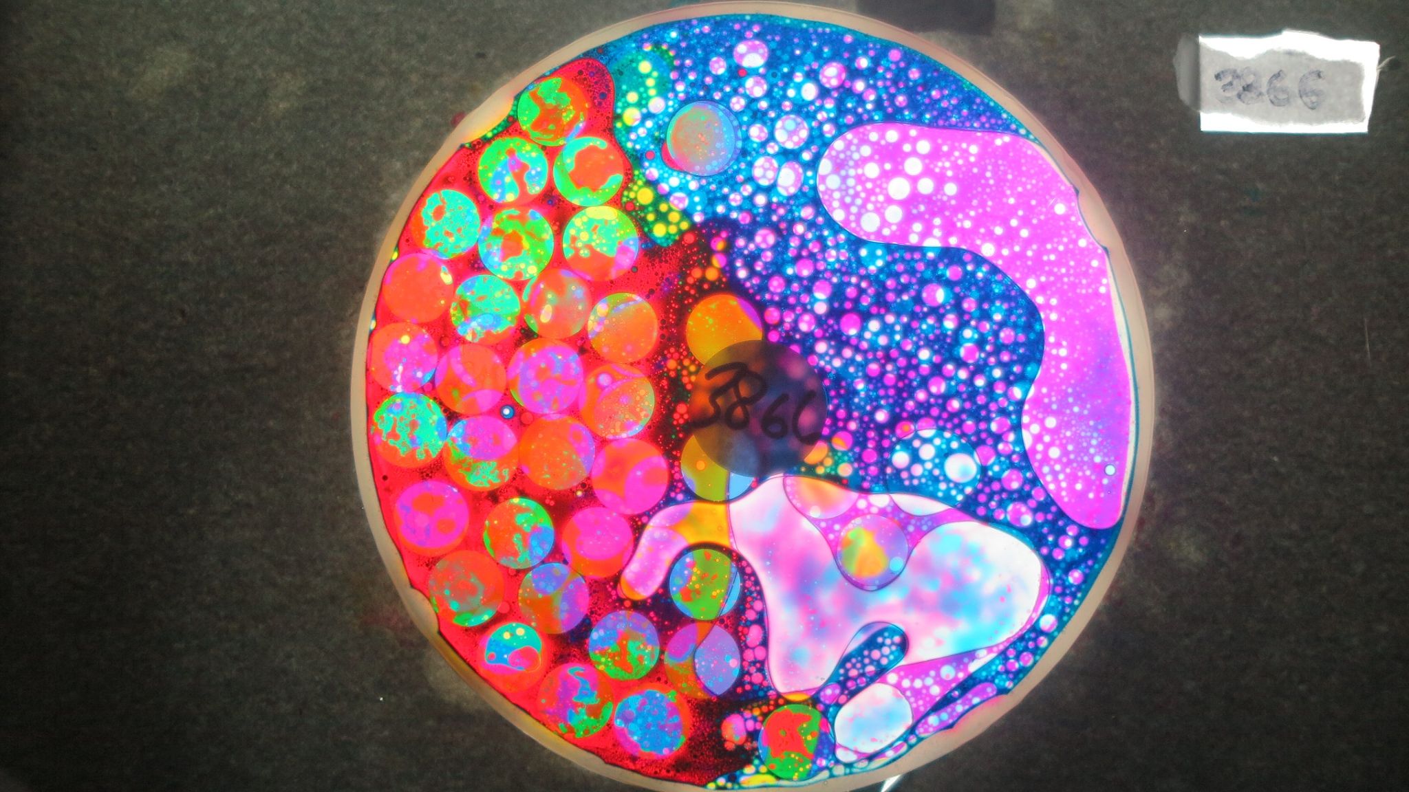 BV3866 bubble vision oil wheel